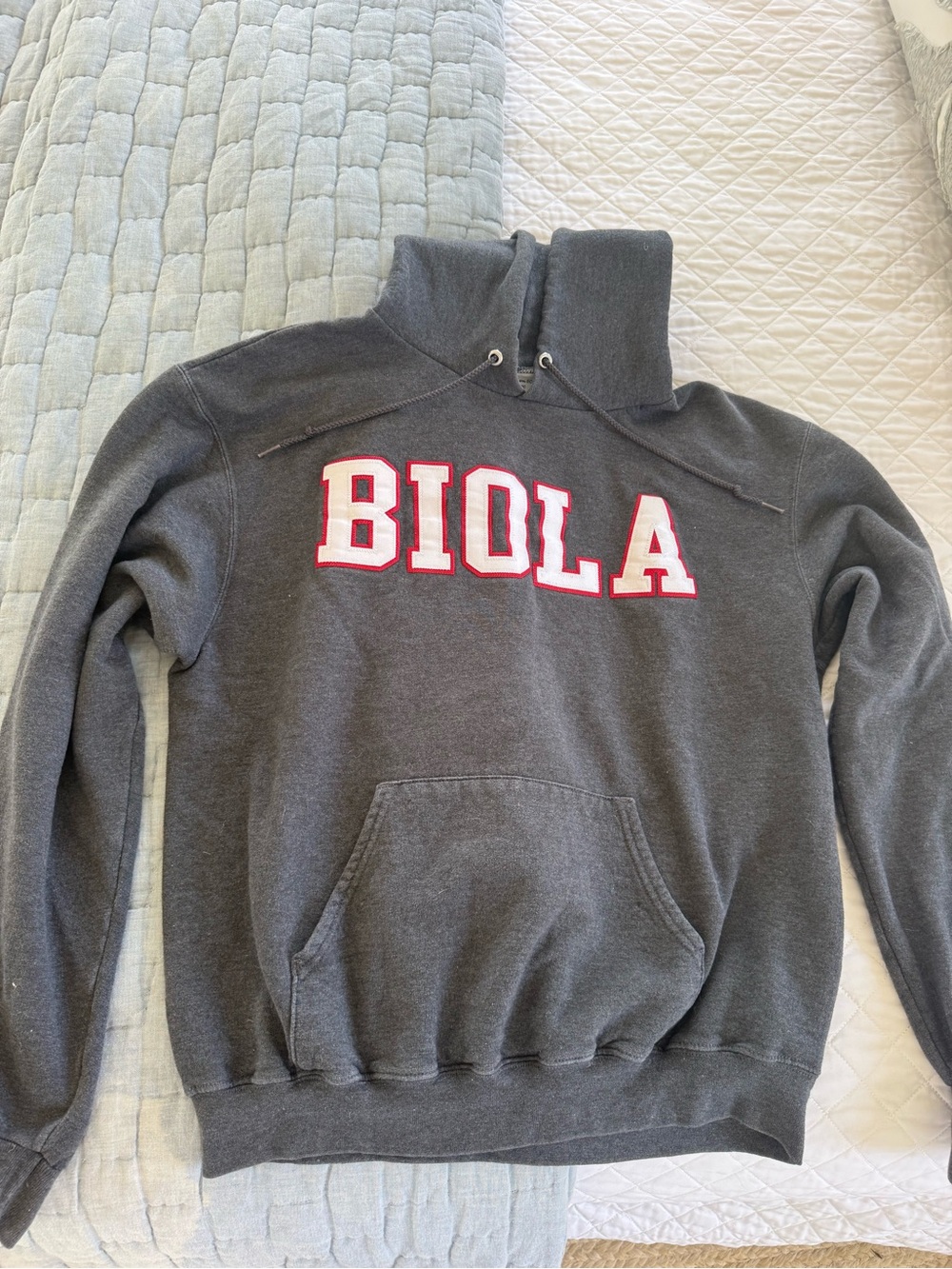 Champion Gray BIOLA Pullover Hoodie Sweatshirt